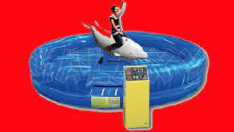 Mechanical Rodeo Killer Whale Ride | Rental