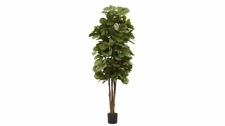 6’ Artificial Fiddle Leaf Fig Tree | Rental 6’ Artificial Fiddle Leaf Fig Tree | Rental
