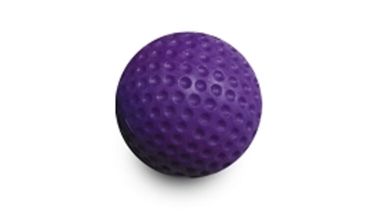 Purple Foam Low Bounce Practice Golf Ball | Rental
