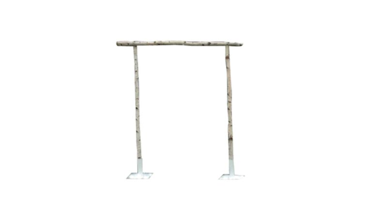 Birch Wood Arch | Rental Birch Wood Arch | Rental