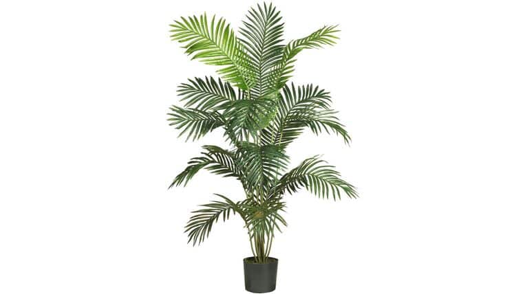 6’ Artificial Paradise Palm Tree | Rental 6’ Artificial Paradise Palm Tree | Rental