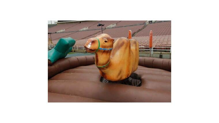 Mechanical Camel Ride | Rental