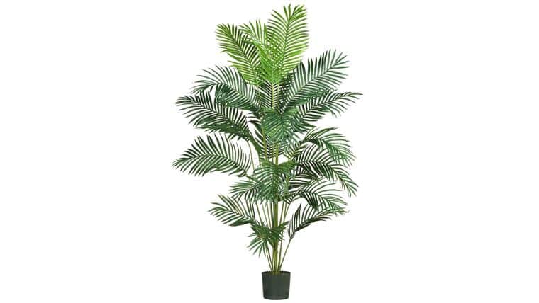 7′ Paradise Palm | Rental 7′ Paradise Palm | Rental