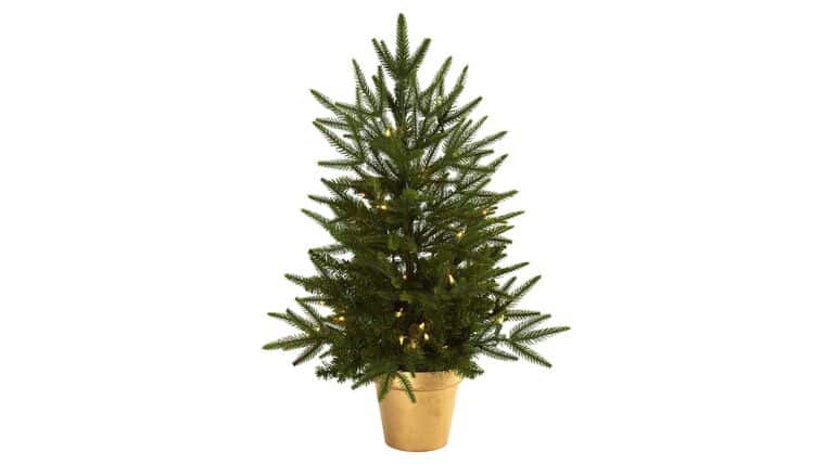 2.5’ Christmas Tree w/Golden Planter & Clear Lights | Rental 2.5’ Christmas Tree w/Golden Planter & Clear Lights | Rental