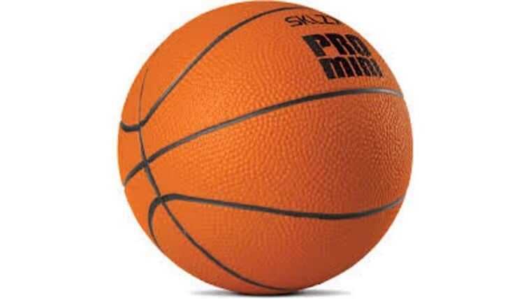 5″ Mini Basketball | Rental