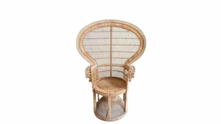 Accent Chair – Calliope Chair | Rental