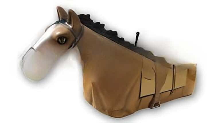 Mechanical Rodeo Horse Ride | Rental