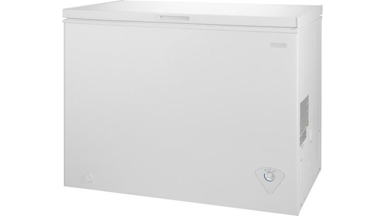 10.2 CU FT Chest Ice & Freezer | Rental