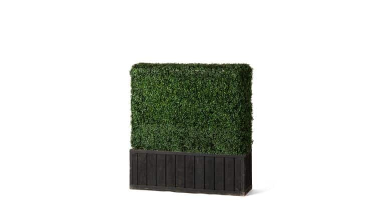 4’h x 4’w Boxwood Hedge With Planter | Rental