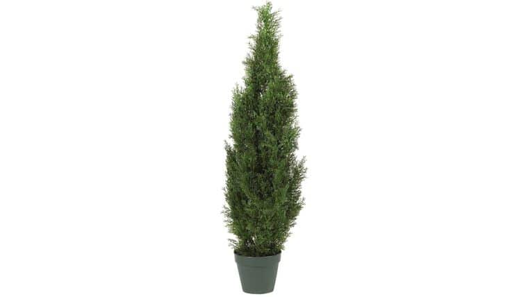 4′ Cedar Tree Silk Tree (In-door/Out-door) | Rental 4′ Cedar Tree Silk Tree (In-door/Out-door) | Rental