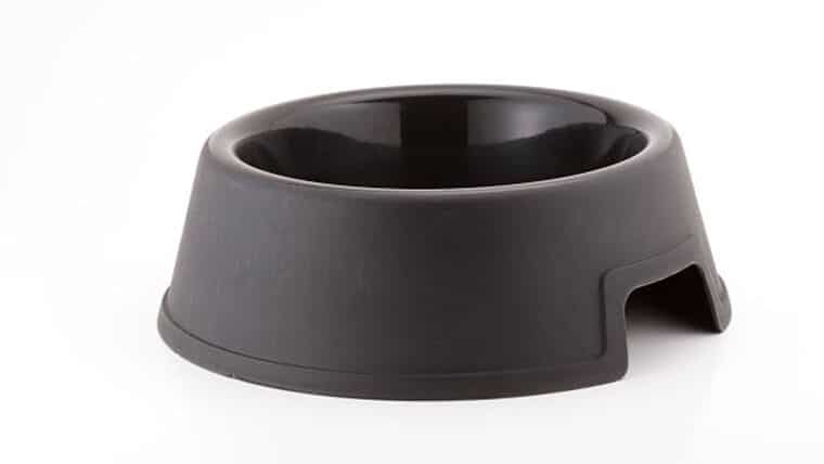 Plastic Dog Bowl / Metal Detector Bowl | Rental