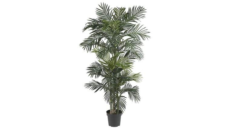 6.5′ Golden Cane Artificial Palm Tree | Rental 6.5′ Golden Cane Artificial Palm Tree | Rental