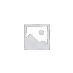 Saint Patrick’s Day Confetti Cannon Package | Rental