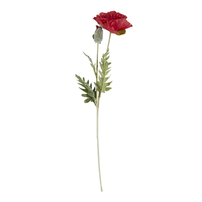FL917 Poppy Stem | Rental