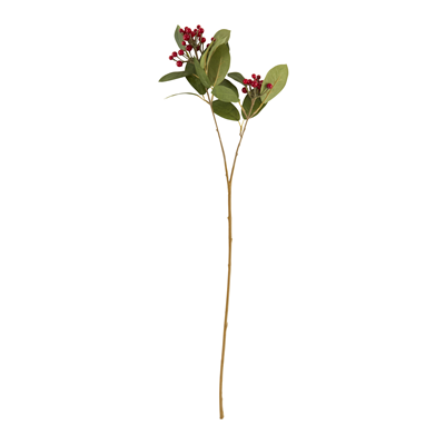 FL919 Berry Branch | Rental
