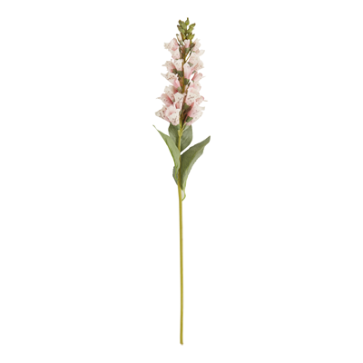FL920 Foxglove Stem | Rental