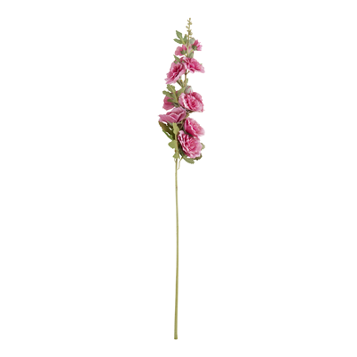 FL923 Hollyhock Stem | Rental