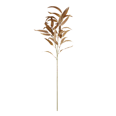 FL924 Eucalyptus Stem | Rental