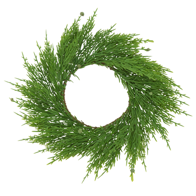 WR032 Capsicum Wreath | Rental