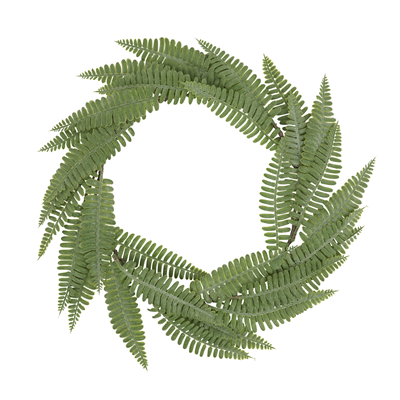 WR482 Fern Wreath | Rental