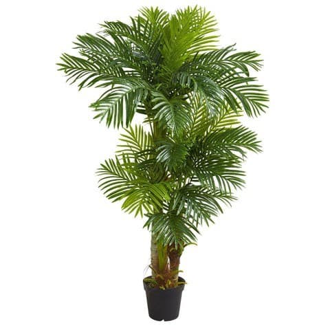 6’ Hawaii Artificial Palm | Rental 6’ Hawaii Artificial Palm | Rental