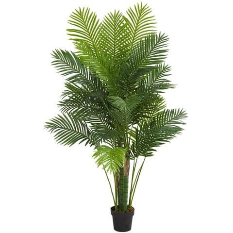 6’ Hawaii Palm Artificial Tree | Rental 6’ Hawaii Palm Artificial Tree | Rental