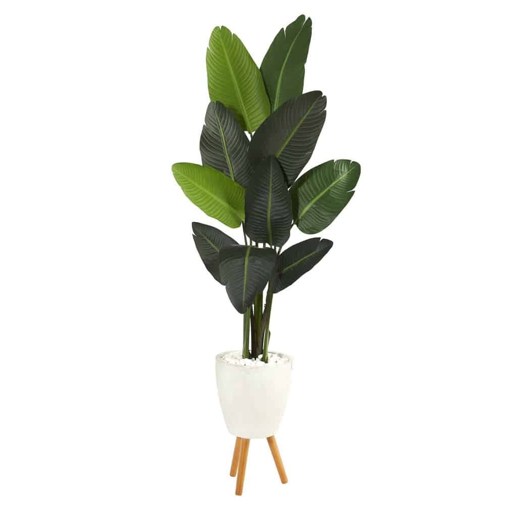 6’ Traveler’s Palm Artificial tree in White Planter with Stand | Rental 6’ Traveler’s Palm Artificial tree in White Planter with Stand | Rental