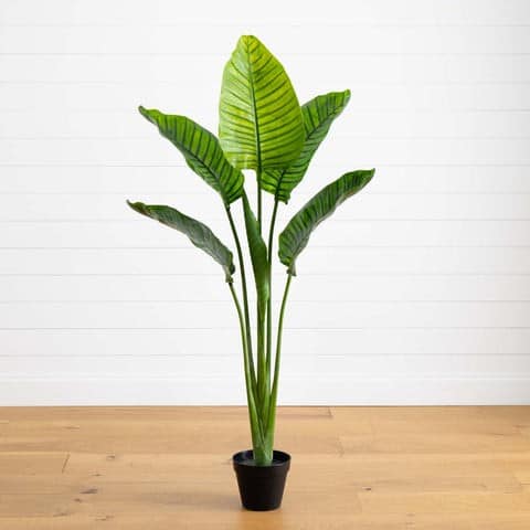 64” Travelers Palm Tree UV Resistant (Indoor/Outdoor) | Rental 64” Travelers Palm Tree UV Resistant (Indoor/Outdoor) | Rental