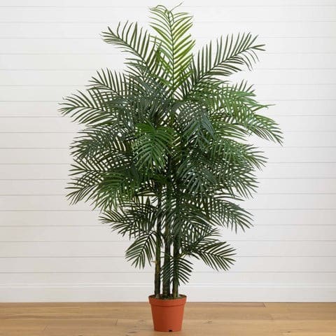 6.5′ Areca Palm UV Resistant (Indoor/Outdoor) | Rental 6.5′ Areca Palm UV Resistant (Indoor/Outdoor) | Rental