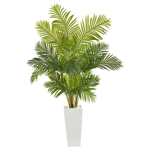 68” Hawaii Palm Artificial Tree in Tall White Planter | Rental 68” Hawaii Palm Artificial Tree in Tall White Planter | Rental