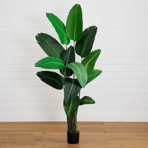 69” Traveler’s Palm Artificial tree | Rental 69” Traveler’s Palm Artificial tree | Rental