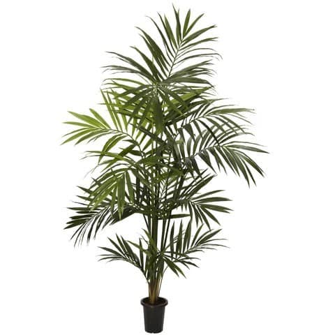 7′ Artificial Kentia Palm Silk Tree Bunched | Rental 7′ Artificial Kentia Palm Silk Tree Bunched | Rental