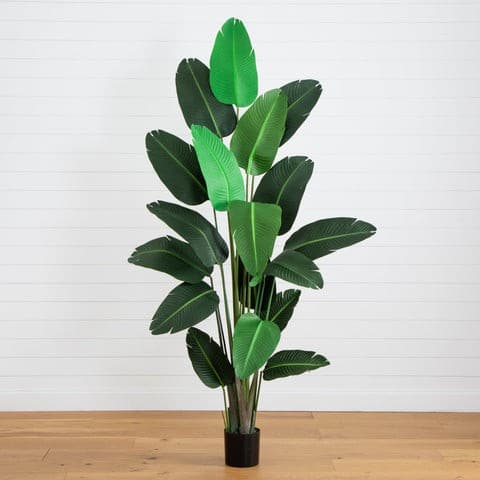 8’ Traveler’s Palm Artificial tree | Rental 8’ Traveler’s Palm Artificial tree | Rental
