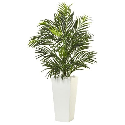 Areca Palm in White Square Planter UV Safe | Rental Areca Palm in White Square Planter UV Safe | Rental
