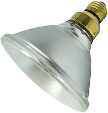 120W Halogen Transparent 30 Degree Flood Light Bulb | Rental