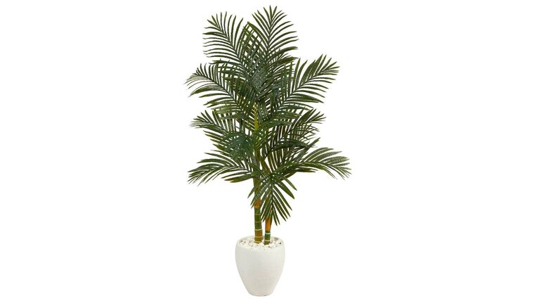 4.5’ Golden Cane Artificial Palm Tree in White Planter with Stand | Rental