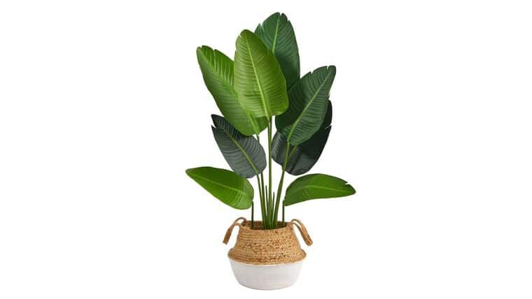 4’ Travelers Palm Artificial Tree in Boho Chic Handmade Cotton & Jute White Woven Planter | Rental 4’ Travelers Palm Artificial Tree in Boho Chic Handmade Cotton & Jute White Woven Planter | Rental