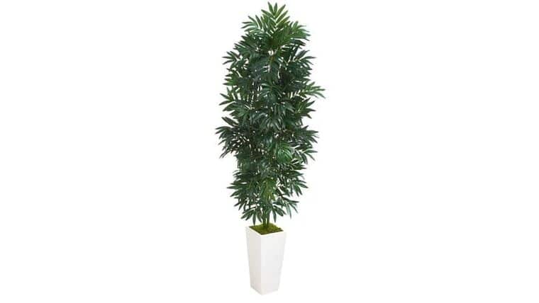 10’ Artificial Paradise Palm Tree | Rental