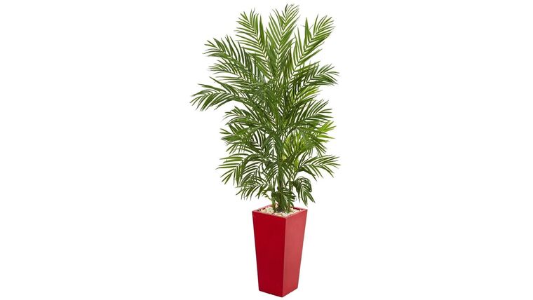 5.5’ Areca Palm Artificial Tree in Red Planter | Rental 5.5’ Areca Palm Artificial Tree in Red Planter | Rental