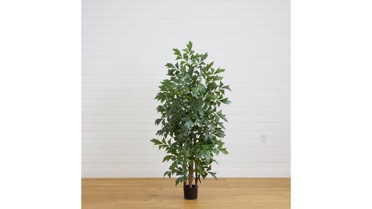 6′ Fishtail Palm Tree | Rental 6′ Fishtail Palm Tree | Rental