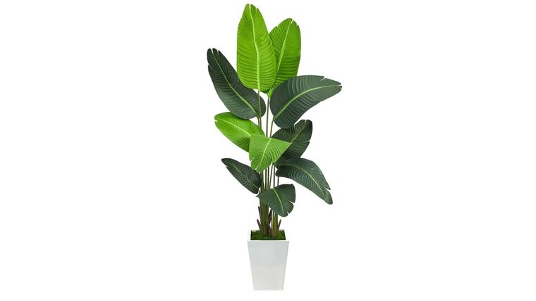 5.5’ Travelers Palm Artificial Tree in White Metal Planter | Rental 5.5’ Travelers Palm Artificial Tree in White Metal Planter | Rental