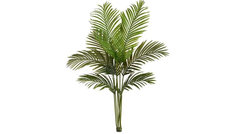 4’ Artificial Paradise Palm Tree (No Pot) | Rental 4’ Artificial Paradise Palm Tree (No Pot) | Rental