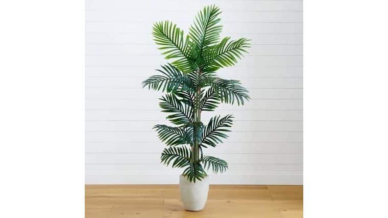 5’ Paradise Palm Artificial Tree in Sand Colored Planter | Rental 5’ Paradise Palm Artificial Tree in Sand Colored Planter | Rental