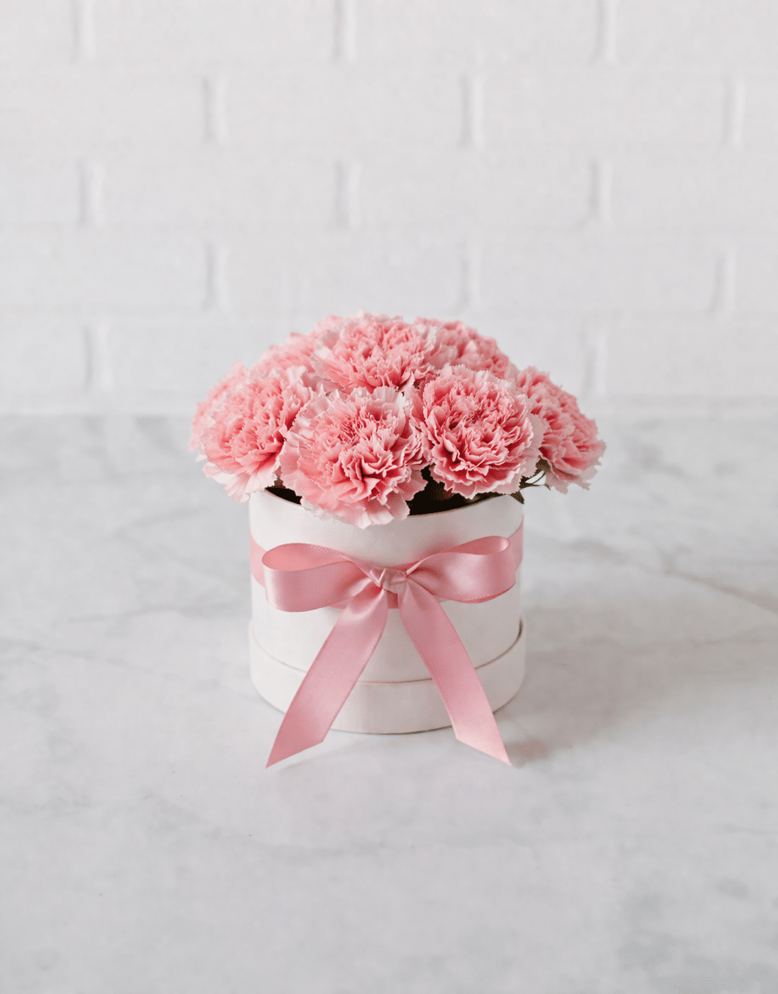 Carnations Bloom Box | Rental