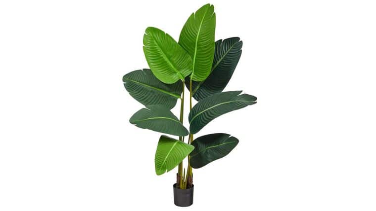 3.5’ Travelers Palm Artificial Tree | Rental