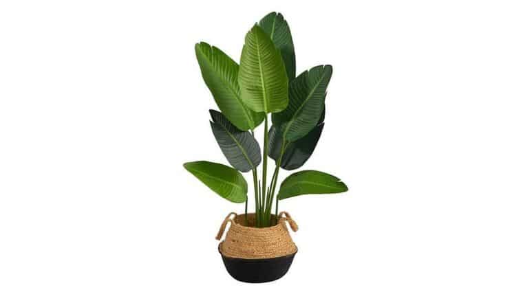 4’ Travelers Artificial Palm Tree in Oval Planter | Rental 4’ Travelers Artificial Palm Tree in Oval Planter | Rental