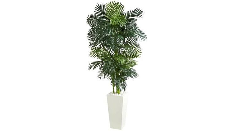 7.5′ Areca Palm W/1966 Lvs UV Resistant (Indoor/Outdoor) | Rental 7.5′ Areca Palm W/1966 Lvs UV Resistant (Indoor/Outdoor) | Rental