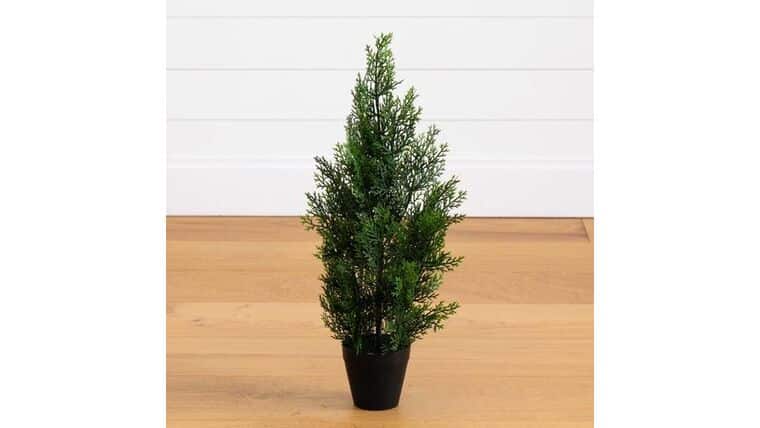 2’ Mini Cedar Pine Tree (Indoor/Outdoor) | Rental