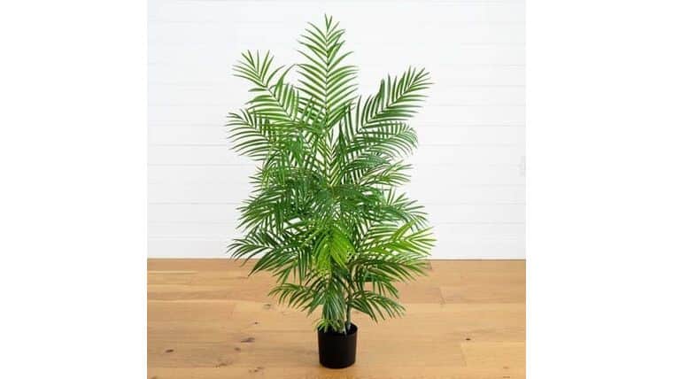 40” Areca Artificial Palm Tree UV Resistant (Indoor/Outdoor) | Rental 40” Areca Artificial Palm Tree UV Resistant (Indoor/Outdoor) | Rental