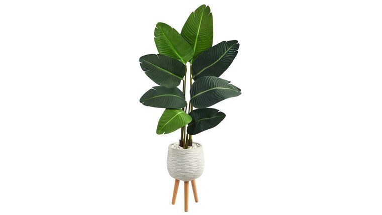 5’ Travelers Palm Artificial Tree in White Planter with Stand | Rental 5’ Travelers Palm Artificial Tree in White Planter with Stand | Rental